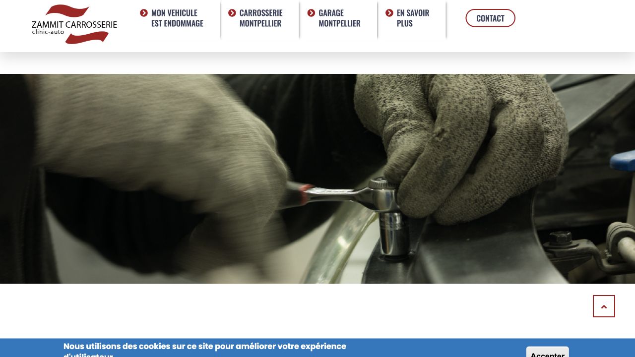 Capture du site de Zammit Montpellier