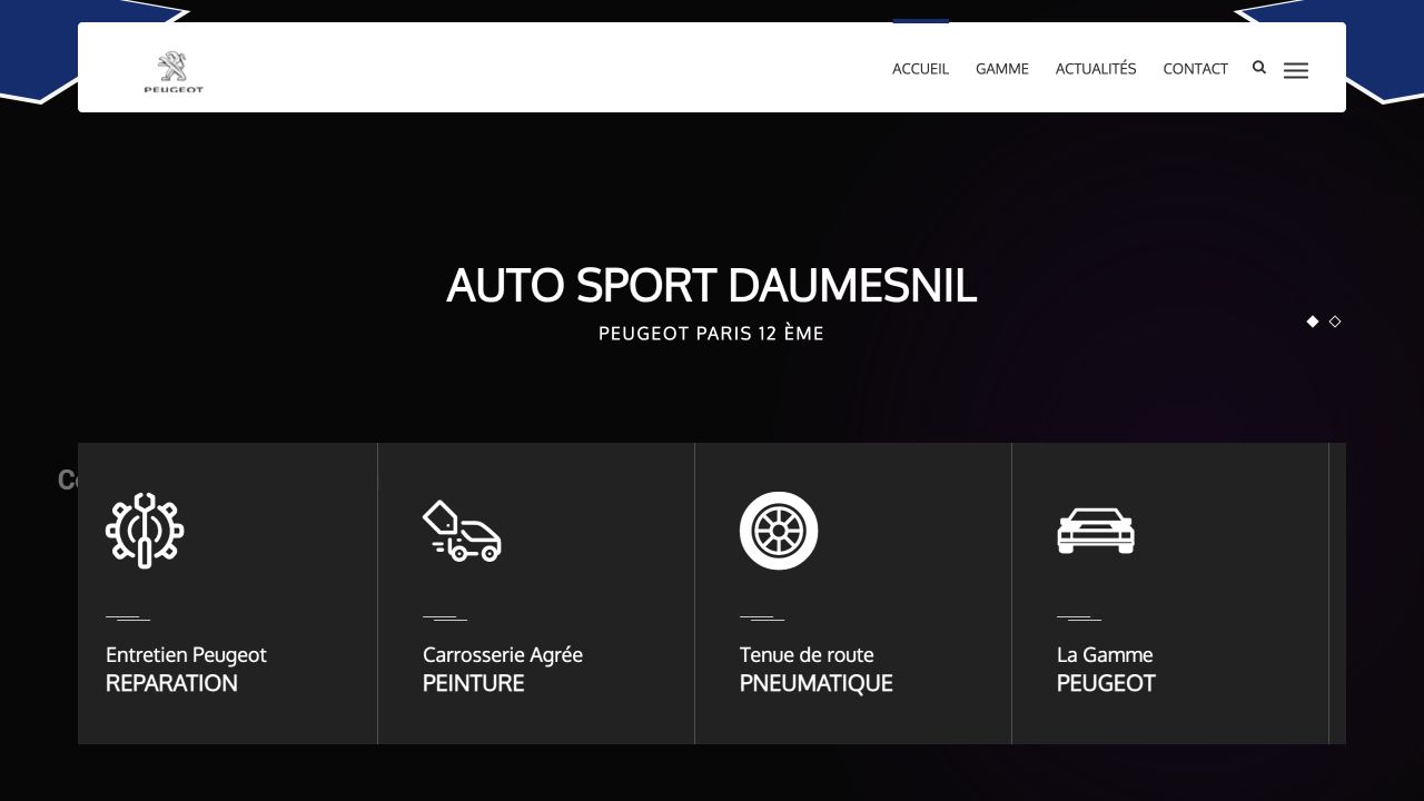 Capture du site de Auto Sport Daumesnil