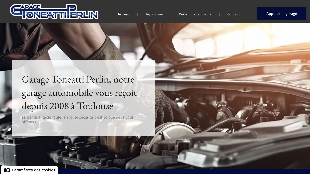 Capture du site de Garage Toneatti Perlin