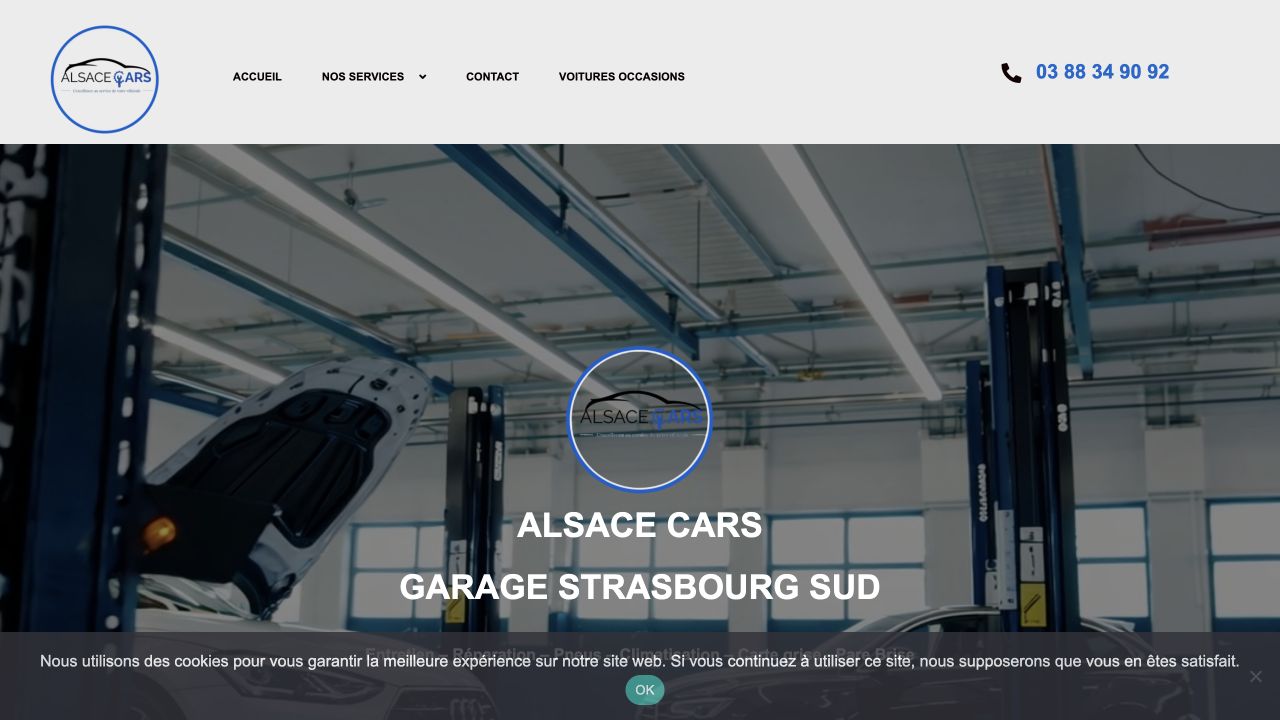 Capture du site de Alsace Cars